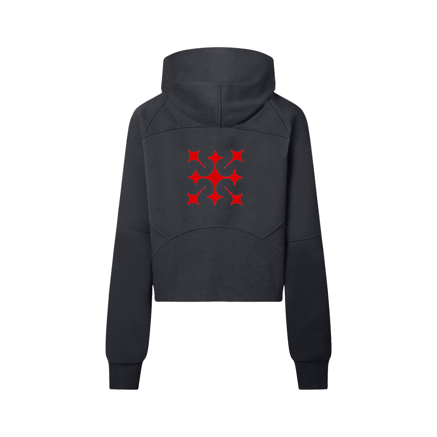 Iconic Endurance Hoodie